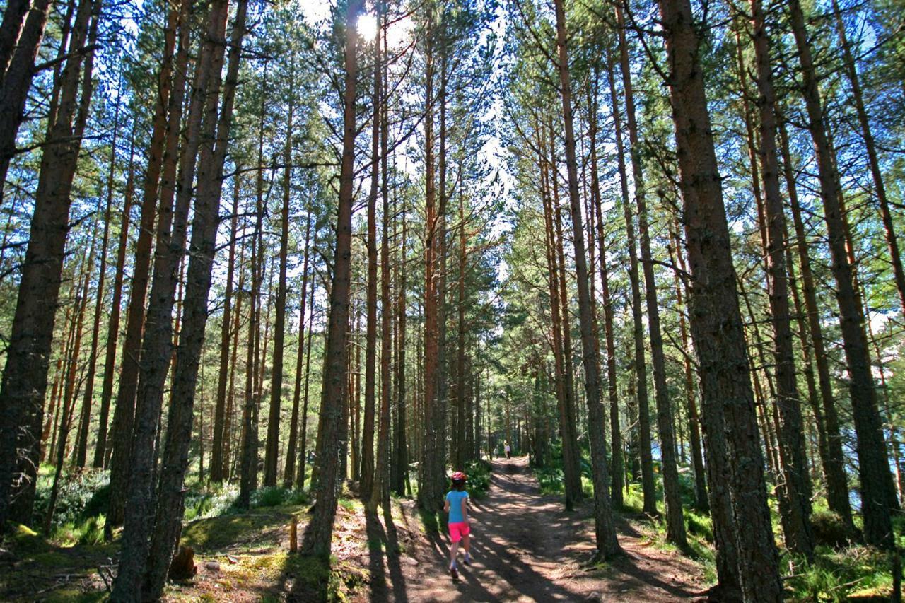 Tigh Na Lochan Aviemore Exteriér fotografie